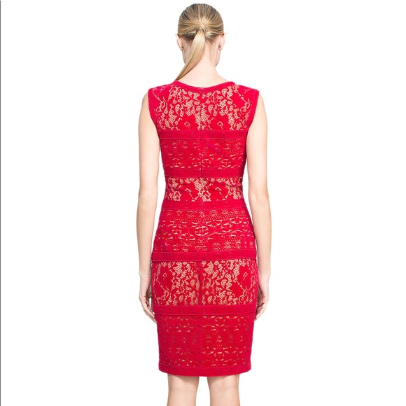 Velvet Dress - Picture 2 of 4